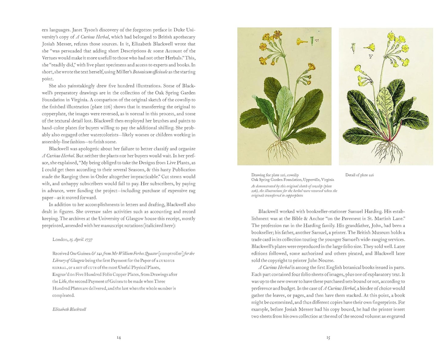 A Curious Herbal