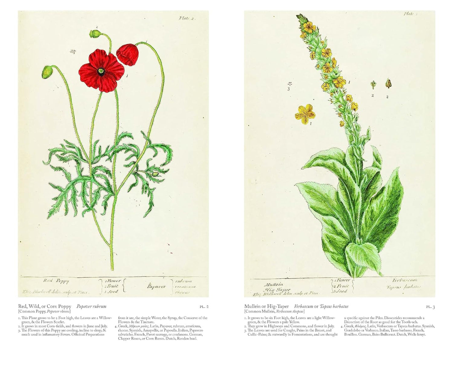 A Curious Herbal