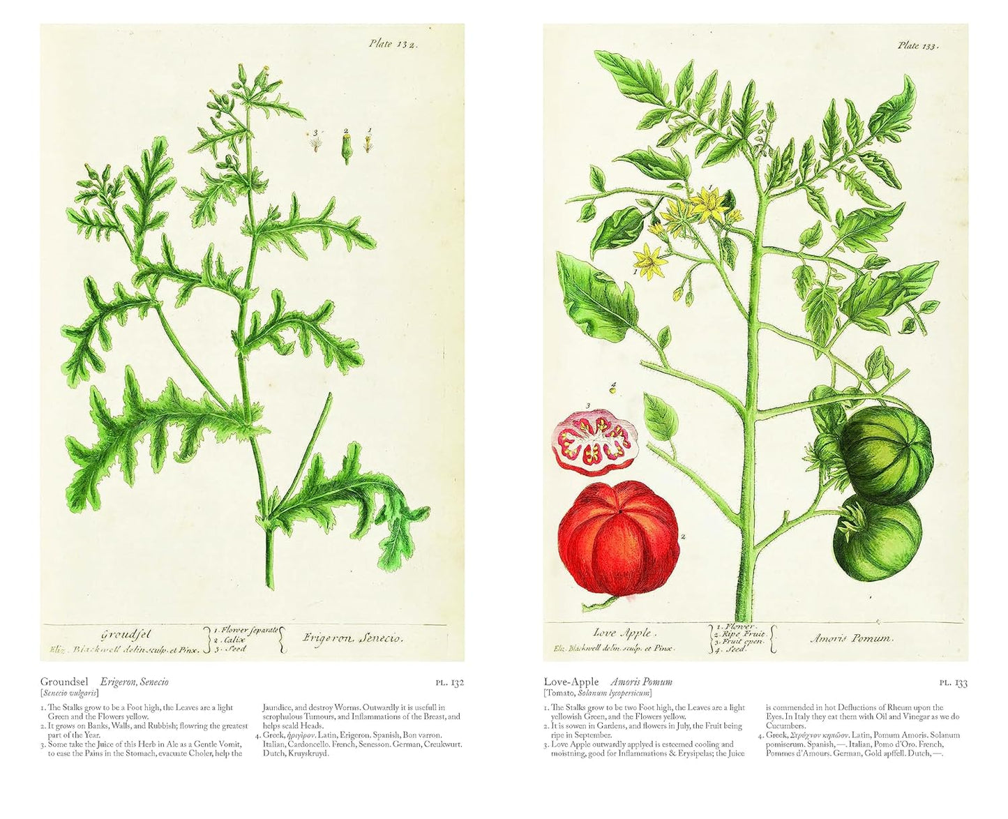 A Curious Herbal
