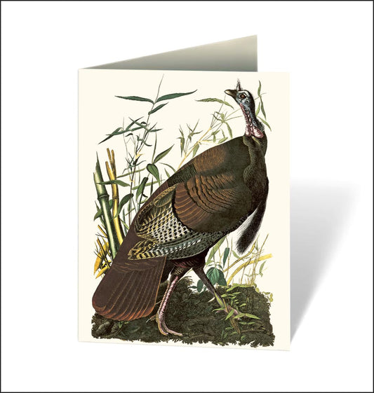 Audubon's Birds of America: An Abbeville Notecard Set Cards
