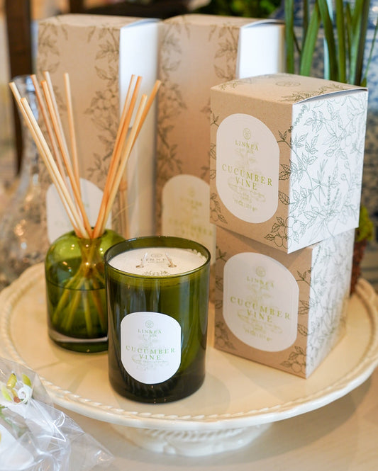 Cucumber Vine Diffuser