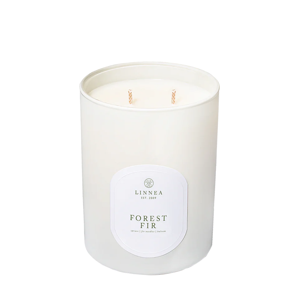 Forest Fir 2 Wick Candle | Spruce | Fir Needles | Balsam