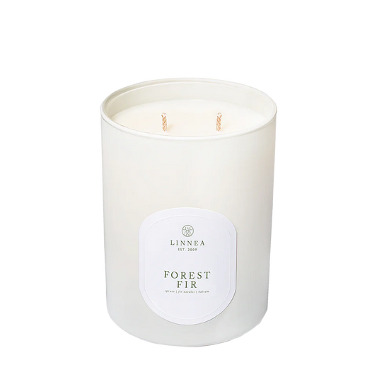 Forest Fir 2 Wick Candle | Spruce | Fir Needles | Balsam