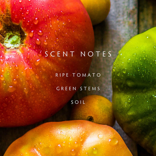 Heirloom Tomato - Ripe Tomato | Green Stems | Soil