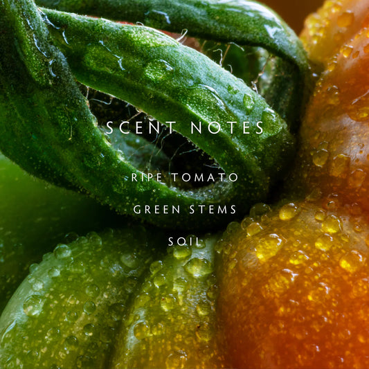 Heirloom Tomato Diffuser - Ripe Tomato | Green Stems | Soil