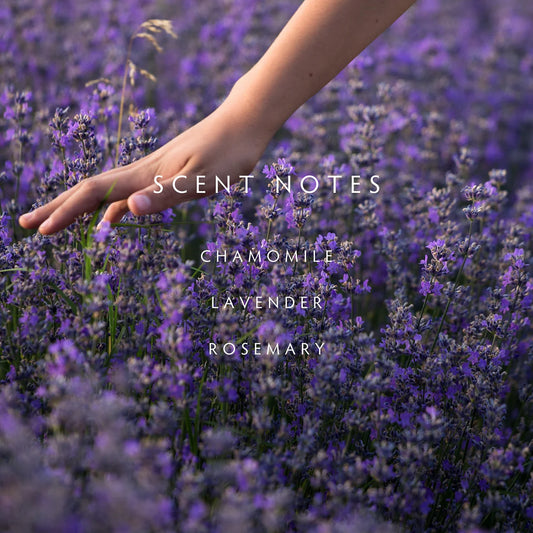 Lavender Rosemary - Chamomile | Lavender | Rosemary