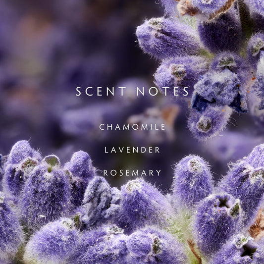 Lavender Rosemary Diffuser - Chamomile | Lavender | Rosemary