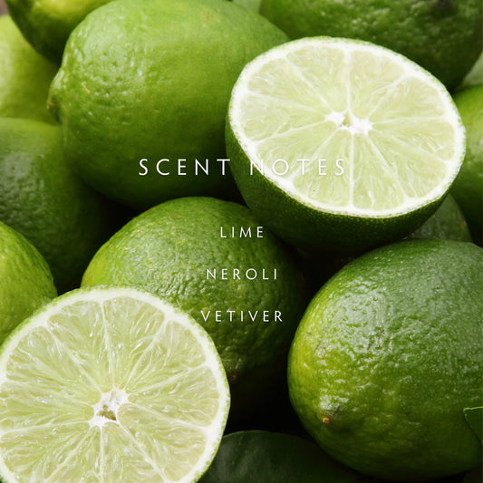 Persian Lime Diffuser - Lime | Neroli | Vetiver