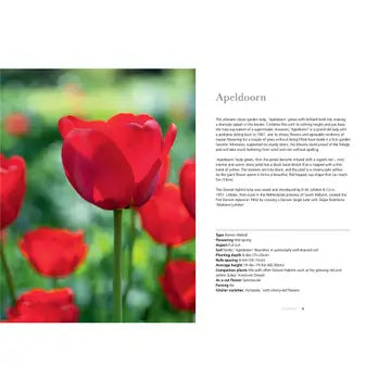 Tulips | Beautiful Varieties for Home and Garden