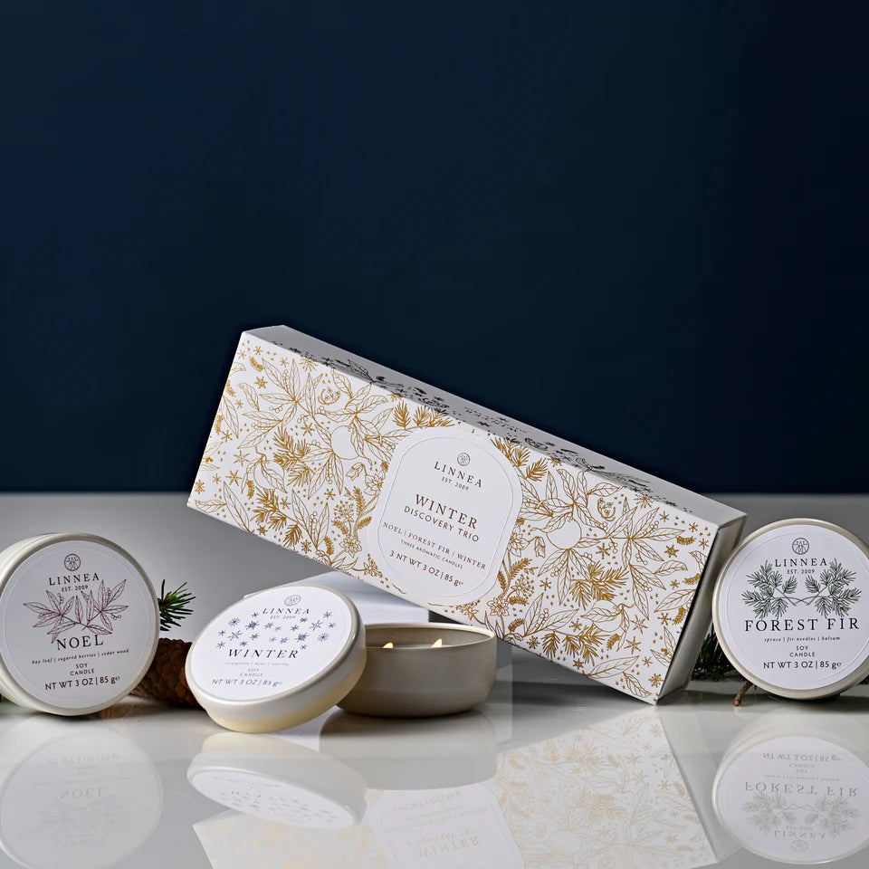 Winter Discovery Trio Candle Set of 3 | Forest Fir | Winter | Noel