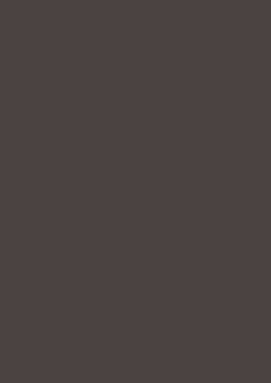 100 mL Sample - TANNERS BROWN NO. 255