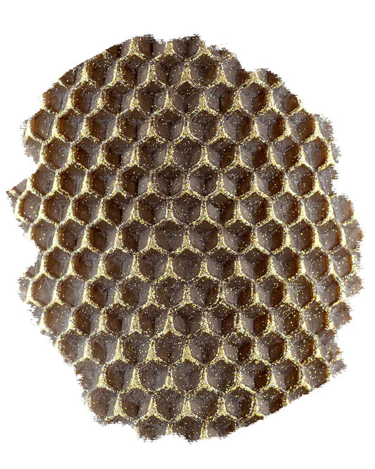 Standard Taper Pair - 8" | Chocolat