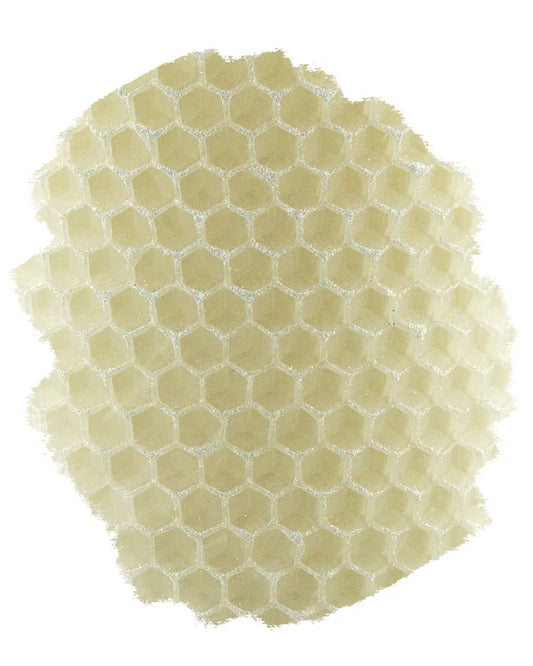 Mini Pillar Single - 2.5" | Sucre