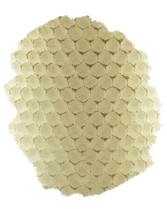 Standard Taper Pair - 8" |  Lumiere