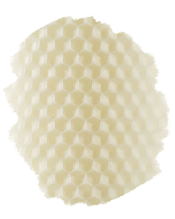 Standard Pillar Single - 6" | Ivory