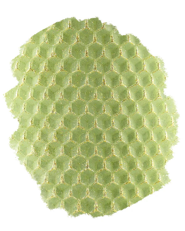 E-Line Taper Pair - 8.5" | Florentine