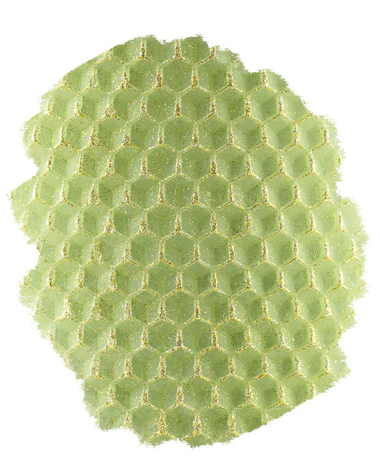 E-Line Taper Pair - 8.5" | Florentine