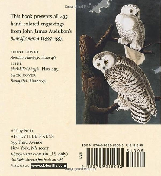 Audubon's Birds of America: The Tiny Folio