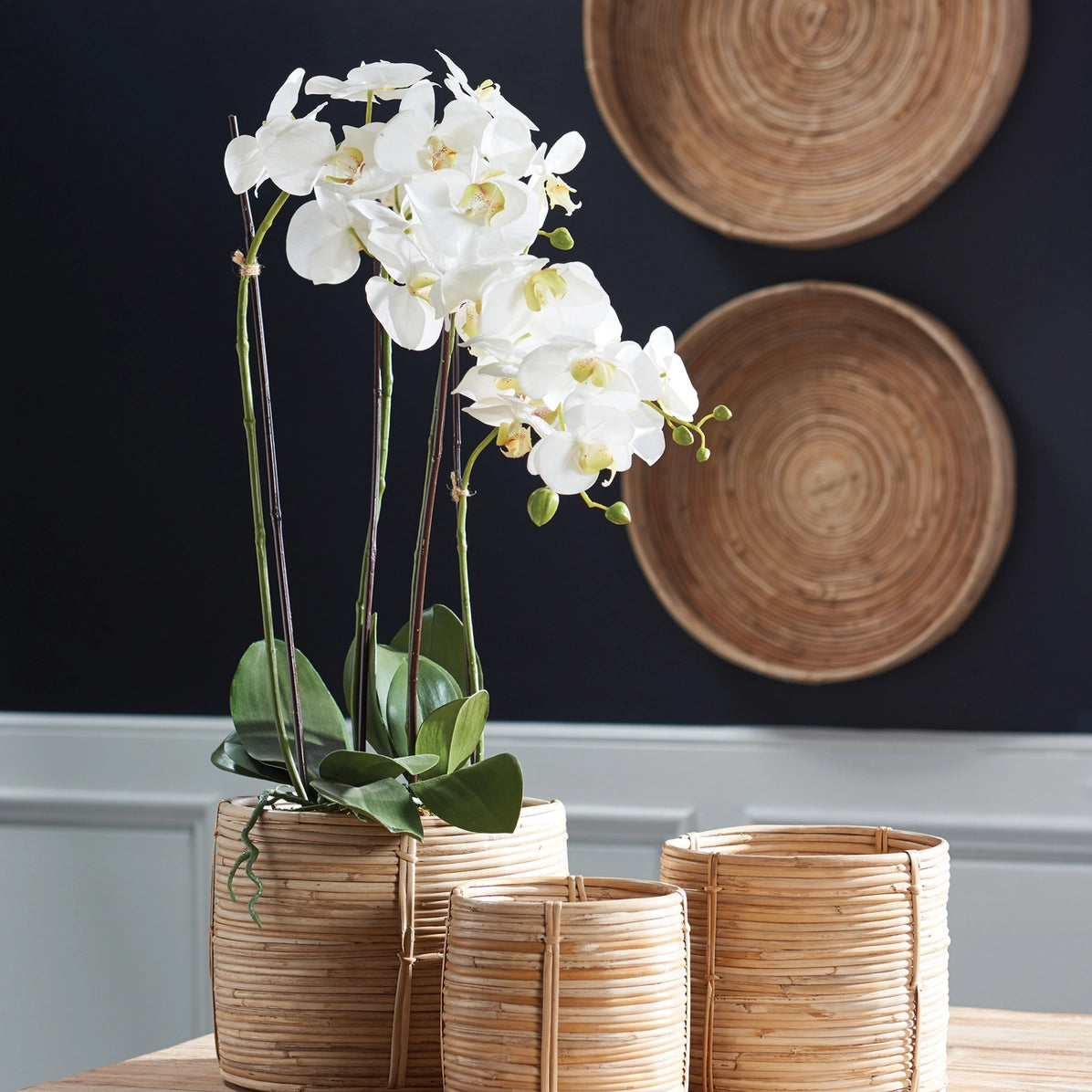 Phalaenopsis Orchid Drop-in 30" | White D11200
