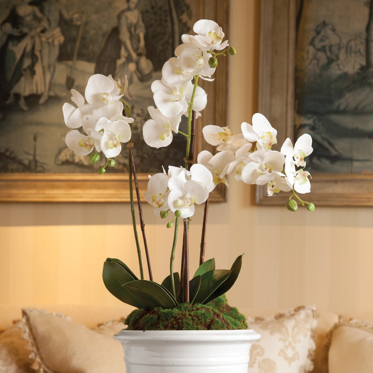 Phalaenopsis Orchid Drop-in 30" | White D11200