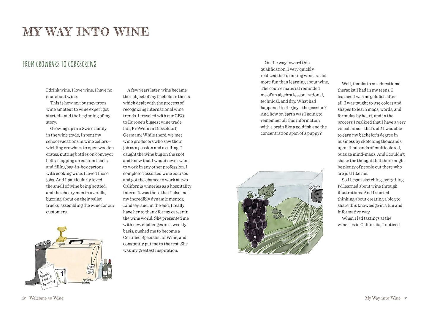 Welcome to Wine: An Illustrated Guide to All You Really Need to Know