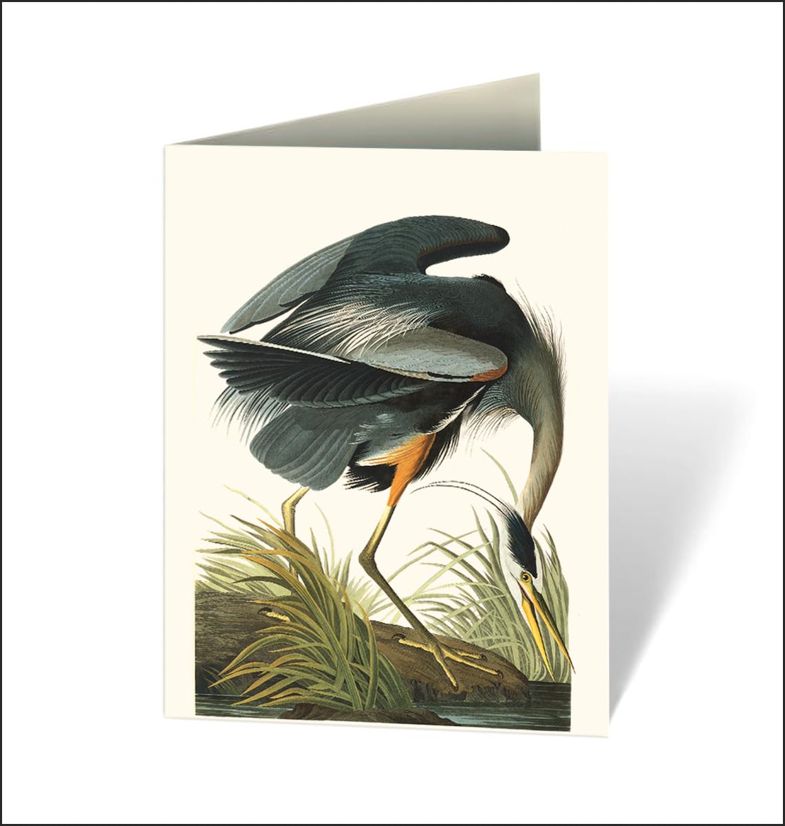 Audubon's Birds of America: An Abbeville Notecard Set Cards