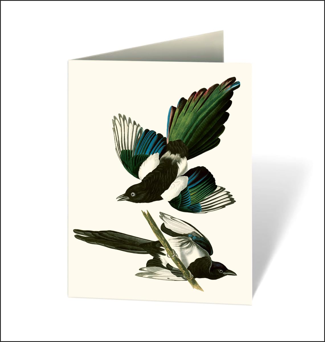 Audubon's Birds of America: An Abbeville Notecard Set Cards