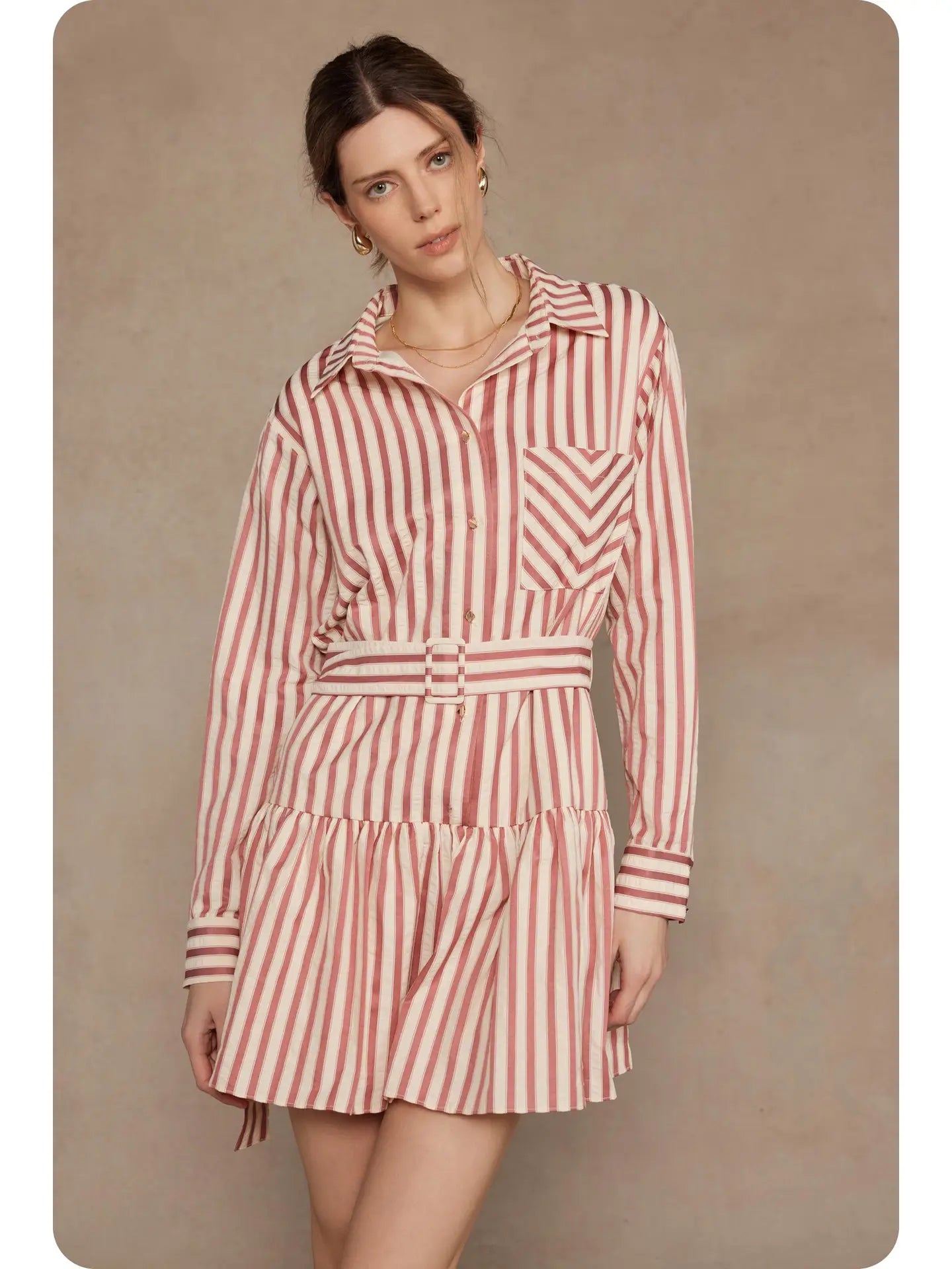 Striped Button Down Mini Dress | Brown/Cream