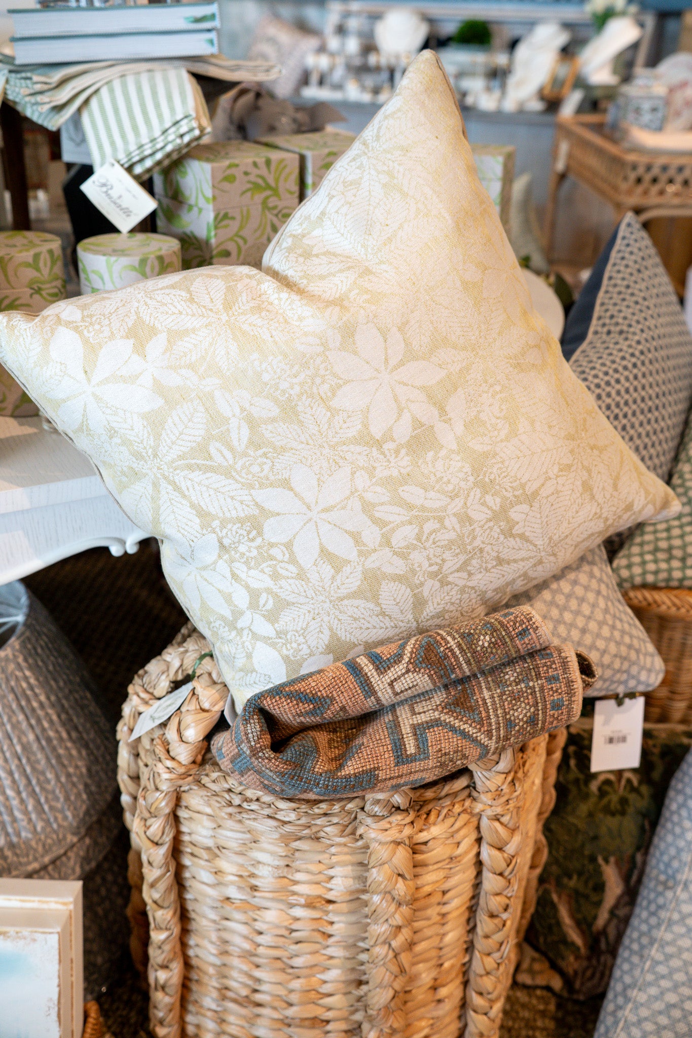 George Spencer Cinque Terre Mimosa 22x22 Pillow