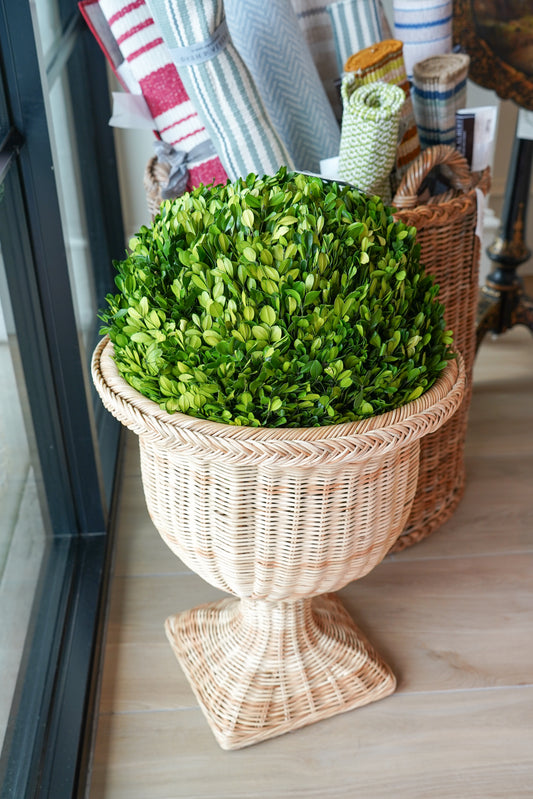 BOXWOOD BALL 16" MILLS FLORAL