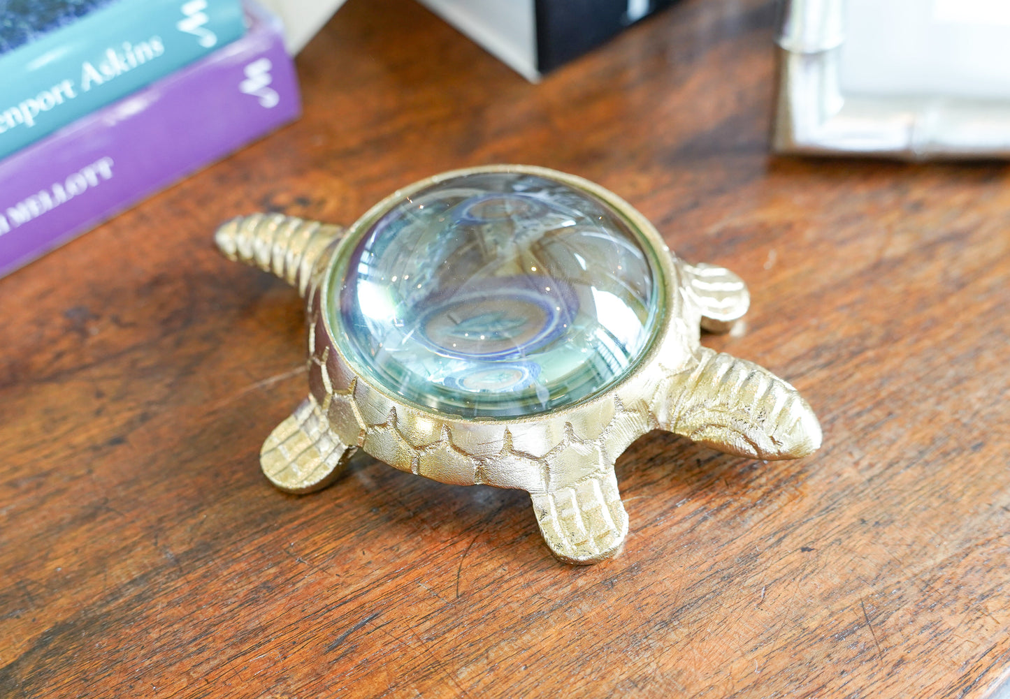 Large Turtle Magnifying Glass