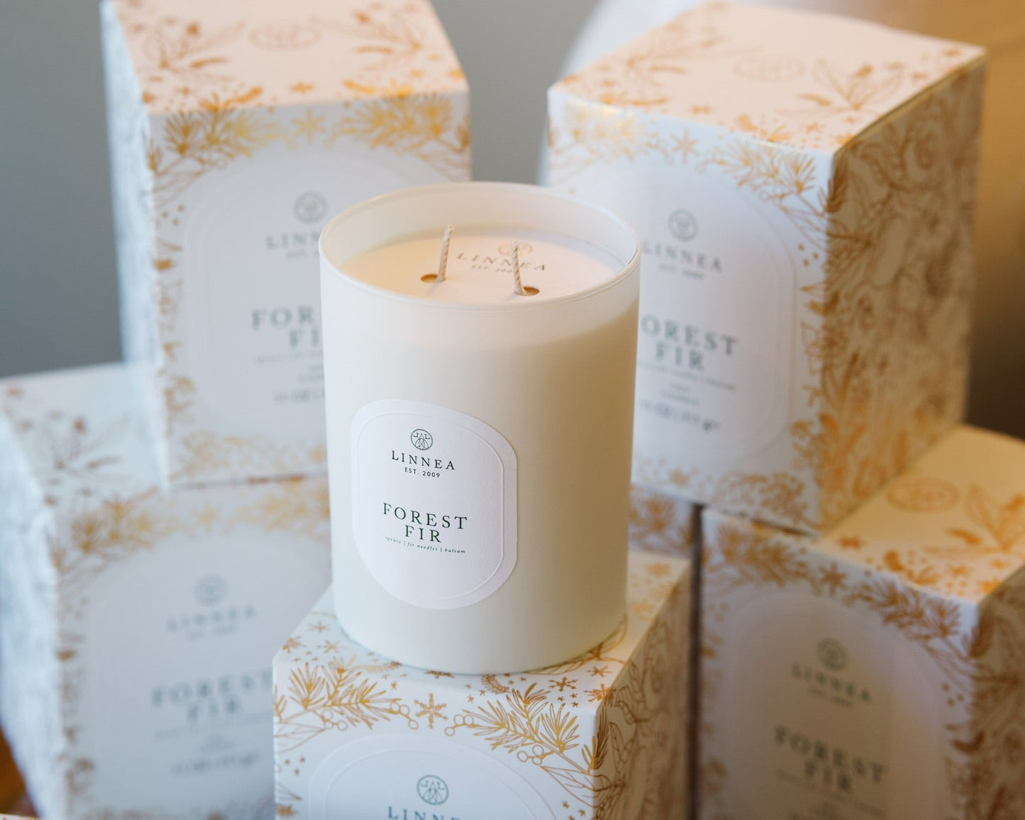 Forest Fir 2 Wick Candle | Spruce | Fir Needles | Balsam