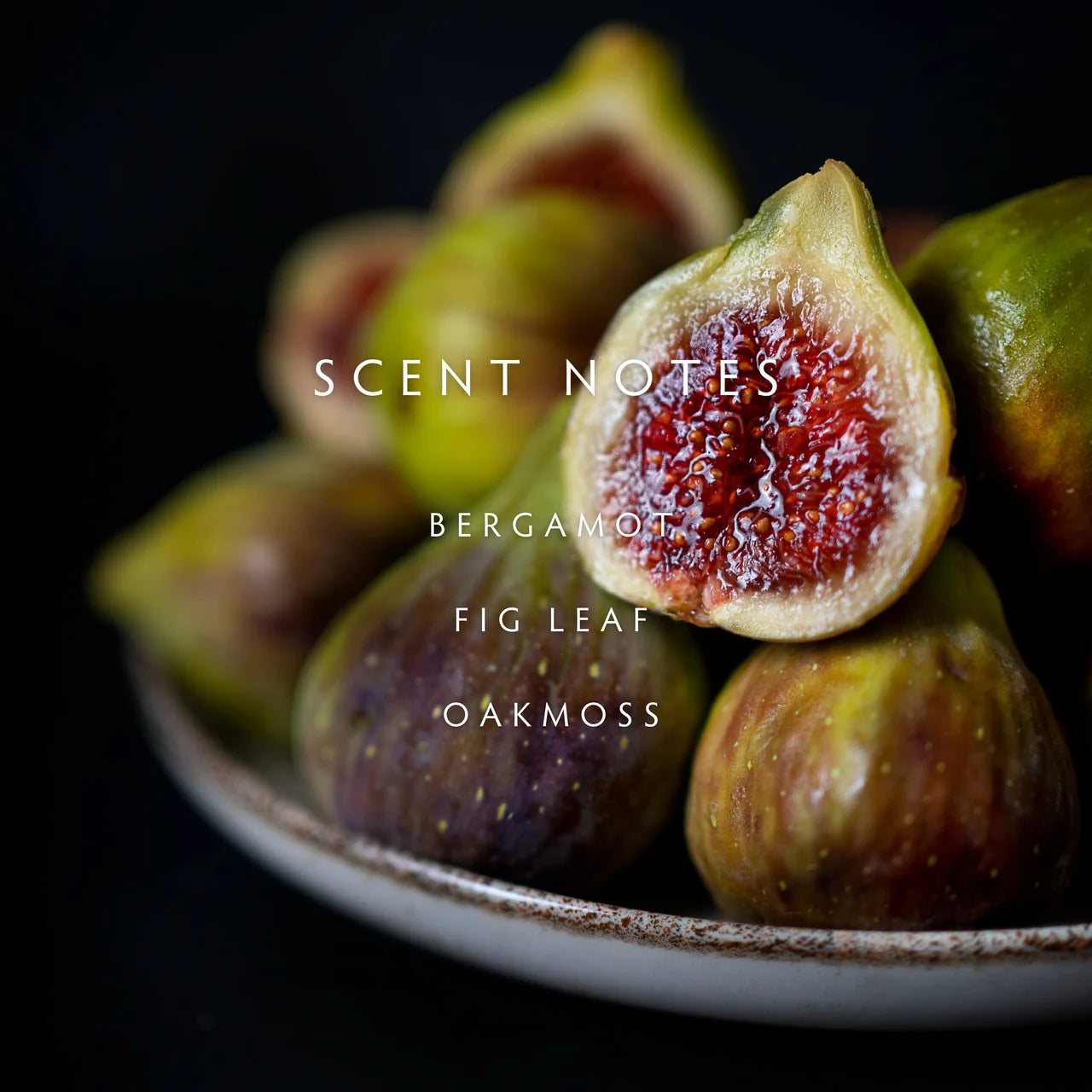 Fig Leaf Candle - Bergamot | Fig Leaf | Oakmoss