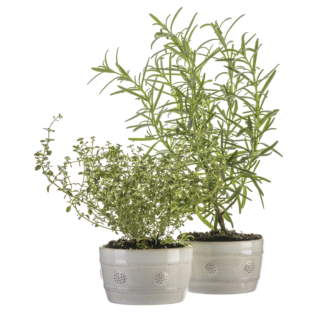 Berry & Thread Ramekin - Whitewash