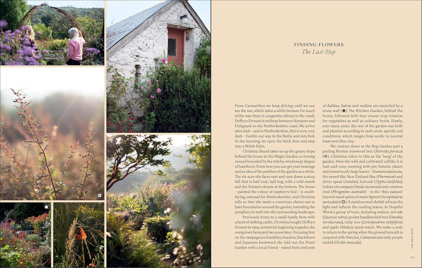 Naturalistic Flowers: A Year of Plants, Places and People