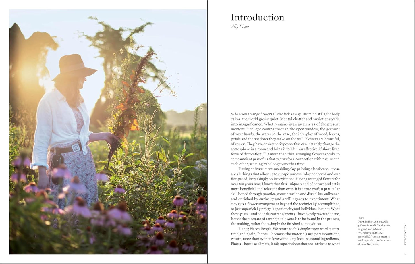 Naturalistic Flowers: A Year of Plants, Places and People