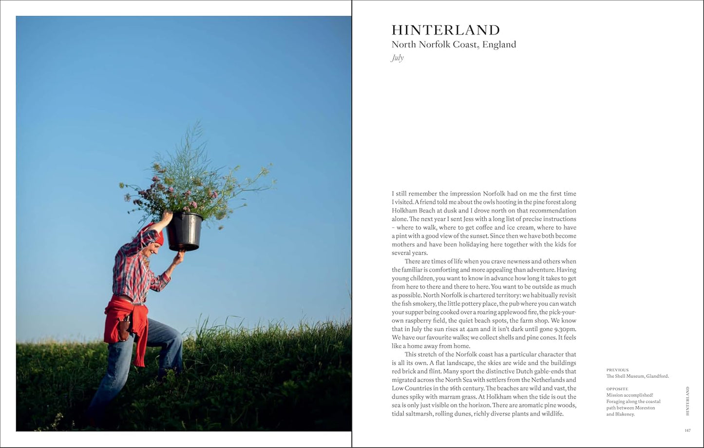Naturalistic Flowers: A Year of Plants, Places and People
