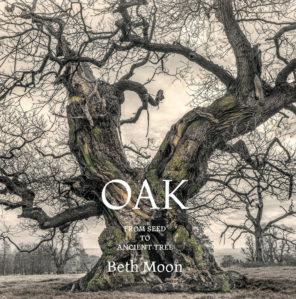 Oak: from Seed to Ancient Tree