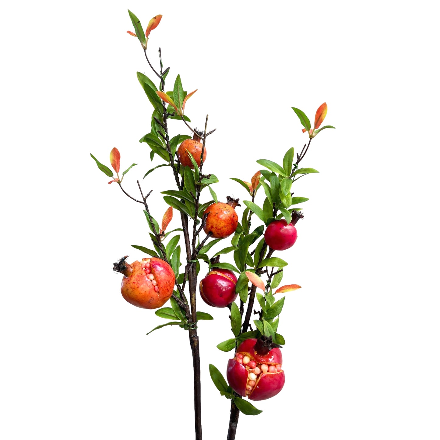 Orange Pomegranate Branches Stem