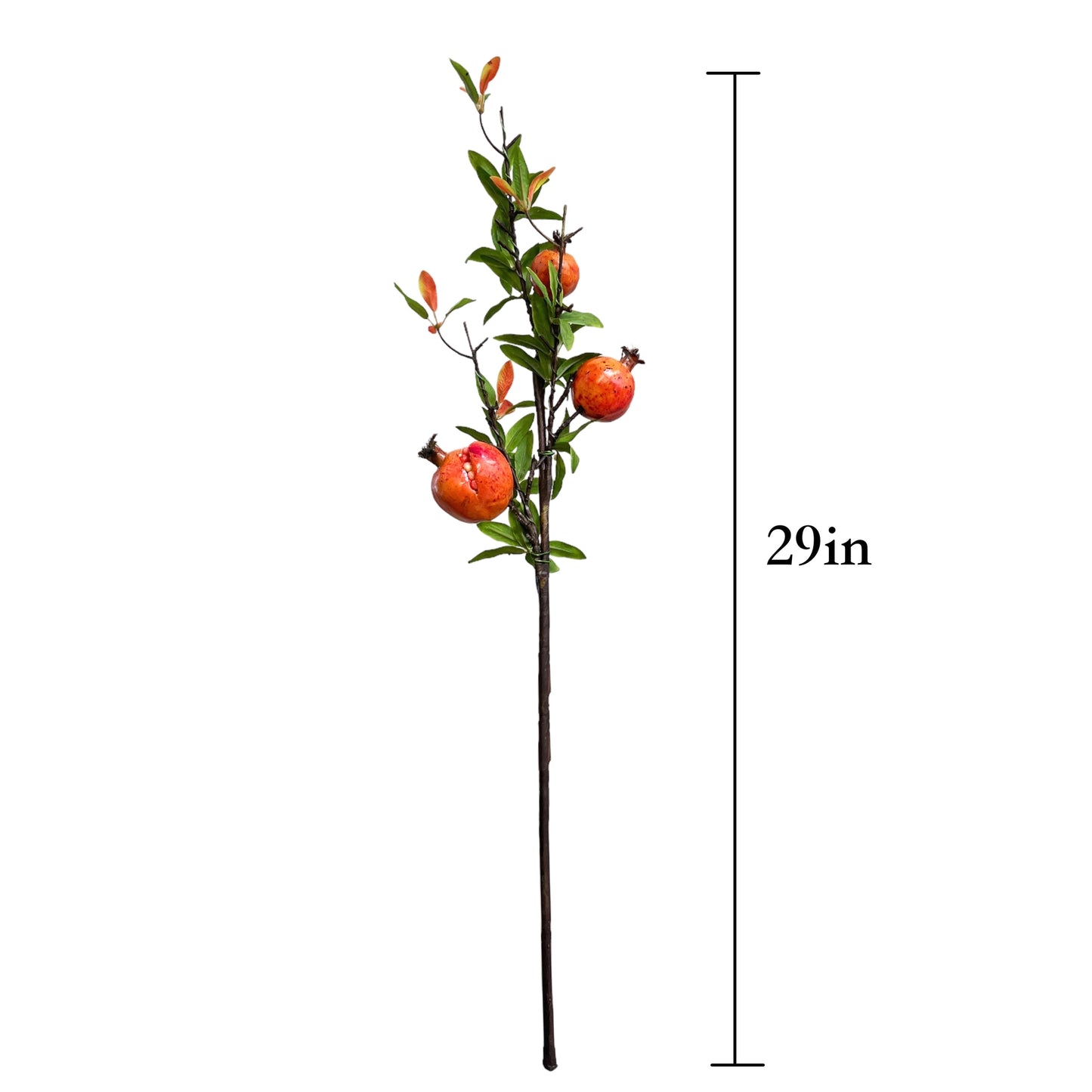 Orange Pomegranate Branches Stem