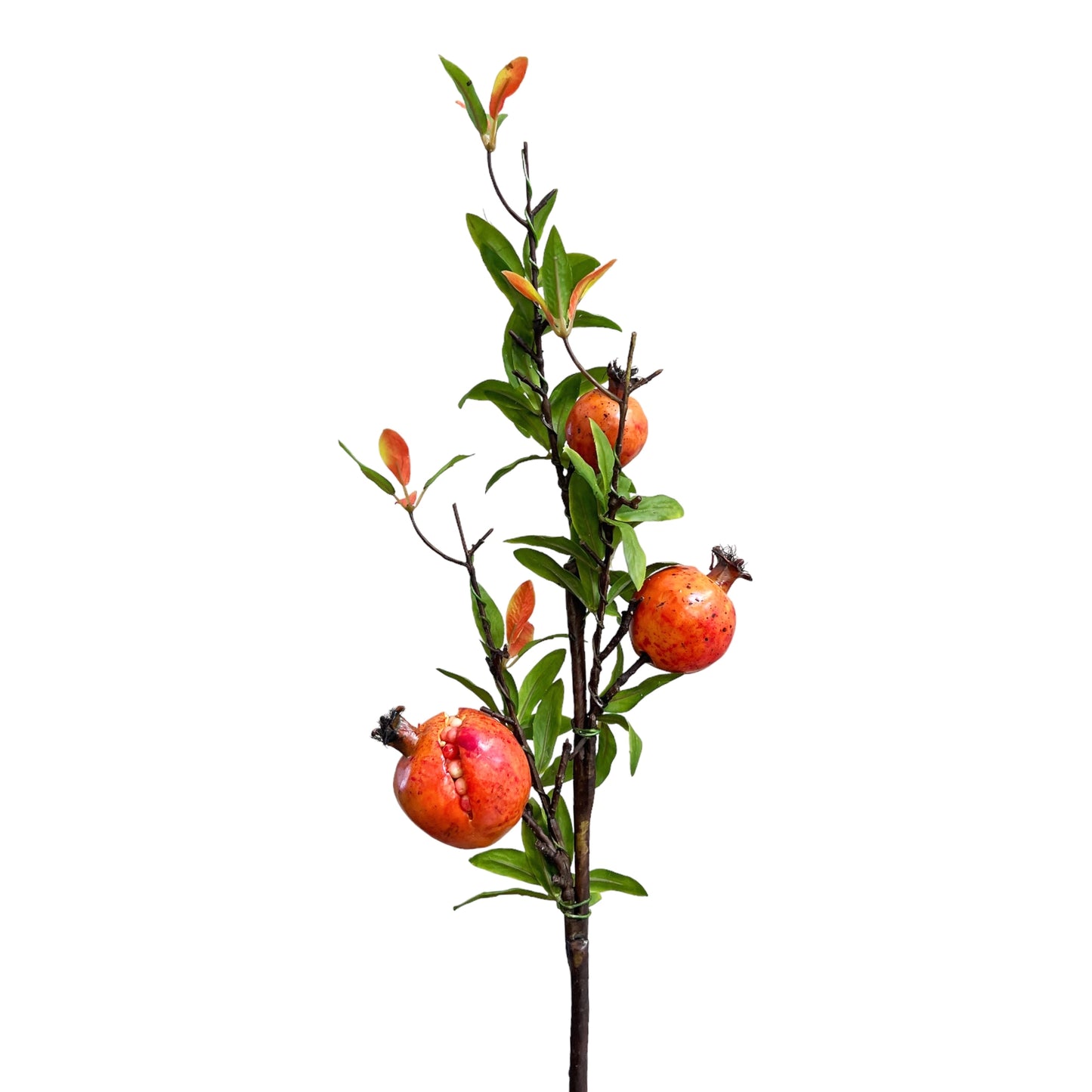Orange Pomegranate Branches Stem