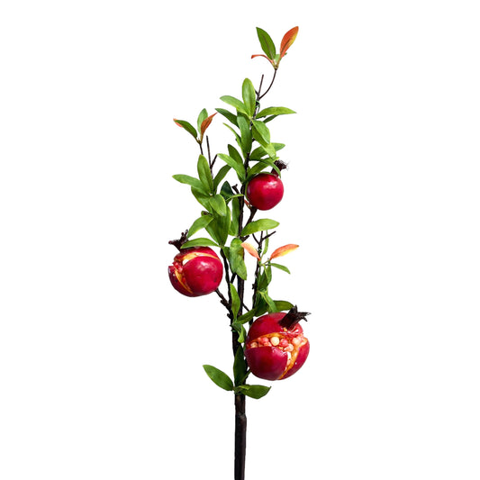 Pomegranate Branches Stem