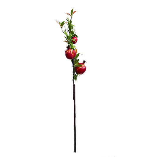Pomegranate Branches Stem