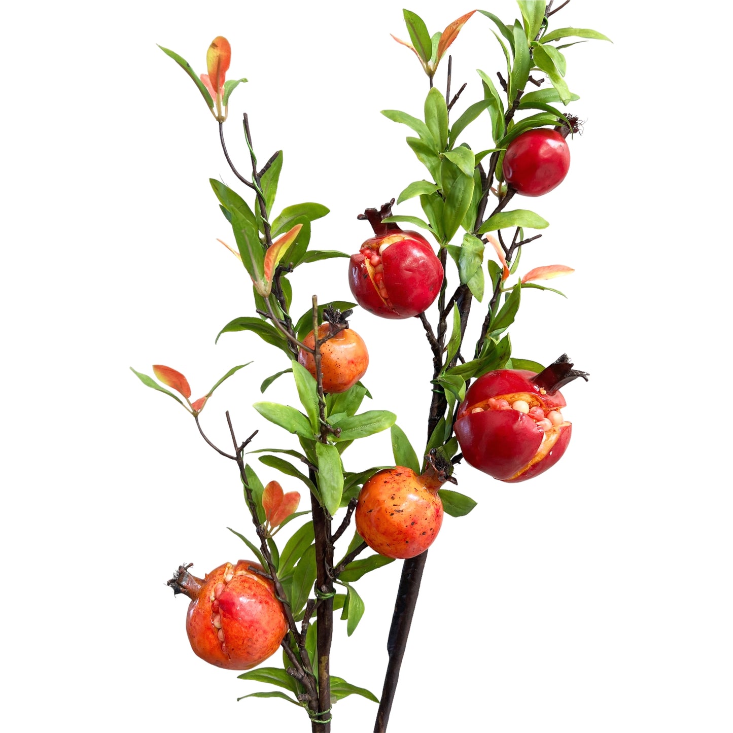 Pomegranate Branches Stem