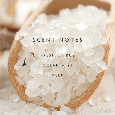 Sea Salt Diffuser Refill - Fresh Citrus | Ocean Mist | Kelp