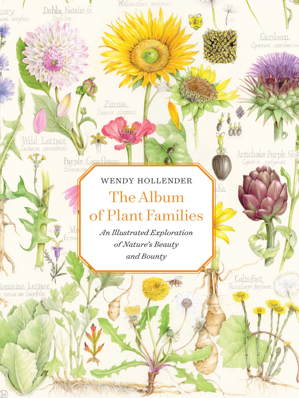 The Album of Plant Families