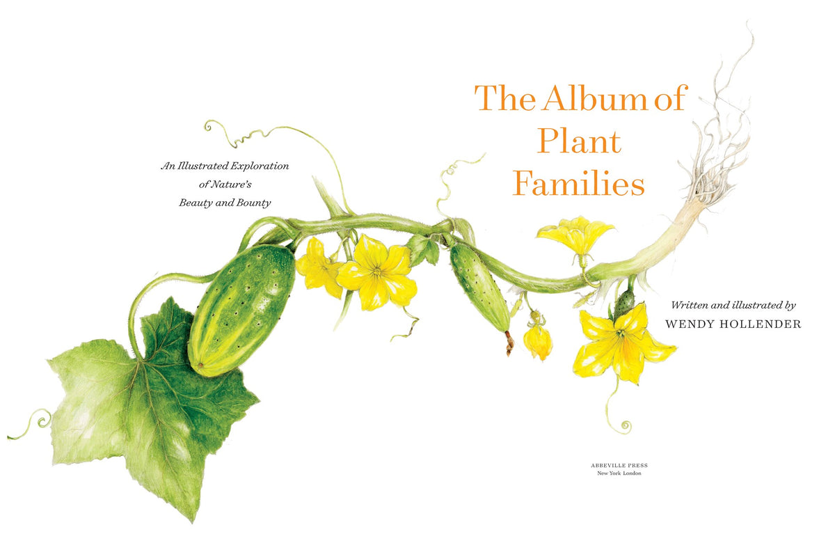 The Album of Plant Families