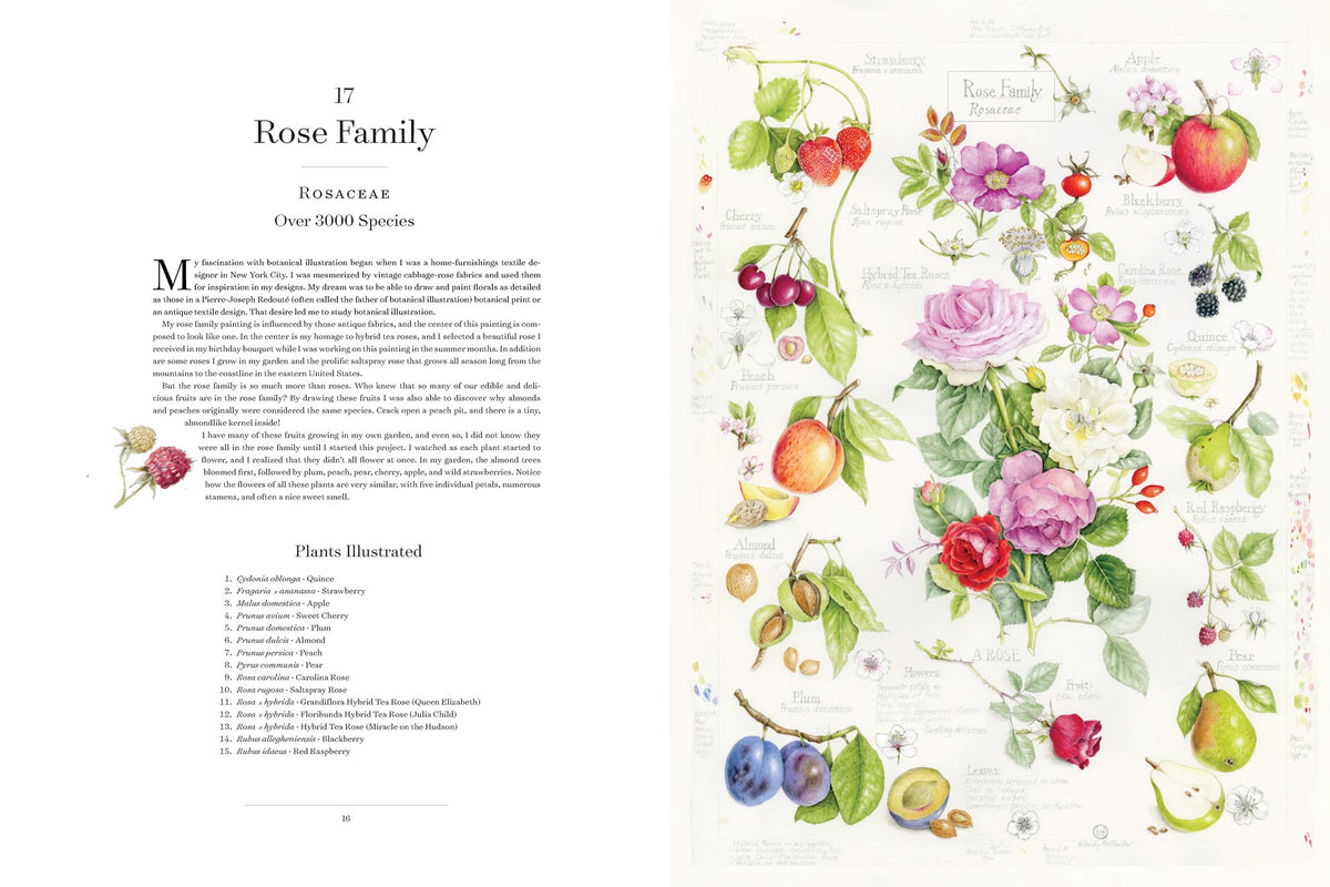 The Album of Plant Families