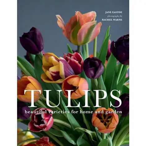 Tulips | Beautiful Varieties for Home and Garden