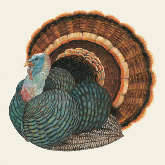 Heritage Turkey Cocktail Napkin